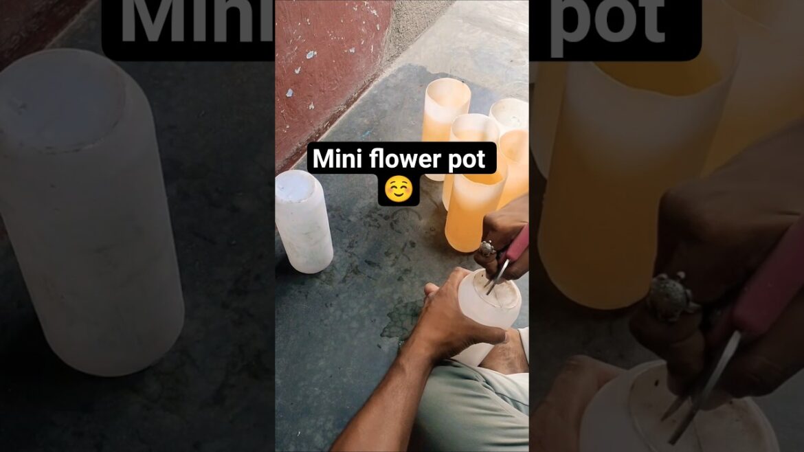 kechp bottle say mini flower pot banaye#minipot #diycrafts #reuseidea #flowers #caryelwes #ytbshorts kechp bottle say mini flower pot banaye#minipot #diycrafts #reuseidea #flowers #caryelwes #ytbshorts