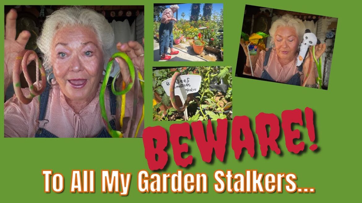 Tips to Scare Off Varmints in A Summer Cottage Container Garden and more