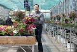 thumbnail: Alan Mercer, director of Hillmount Garden Centre