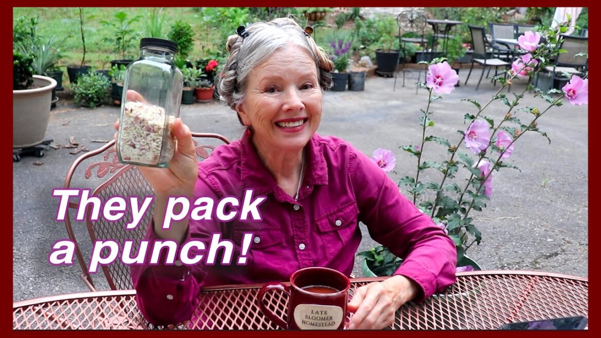 Back Deck & Mothball deterrent update, Bulbils & Butterfly