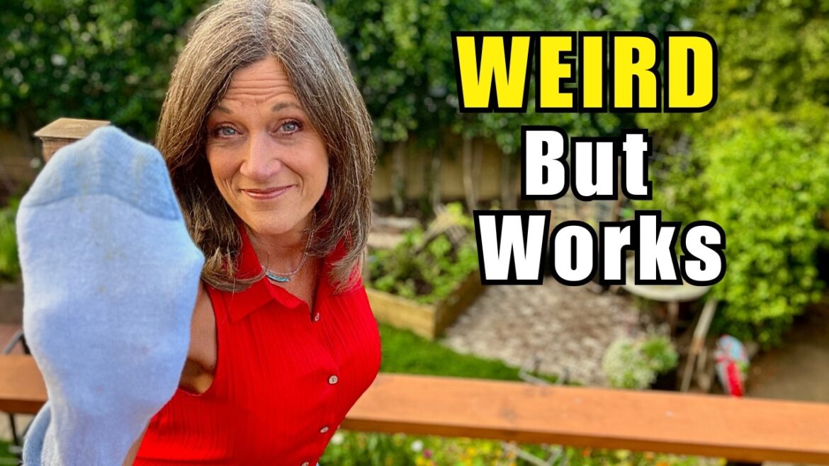 33 Genius Summer Garden Hacks You’ll Wish You Knew Sooner (Save Time, Money & Space)