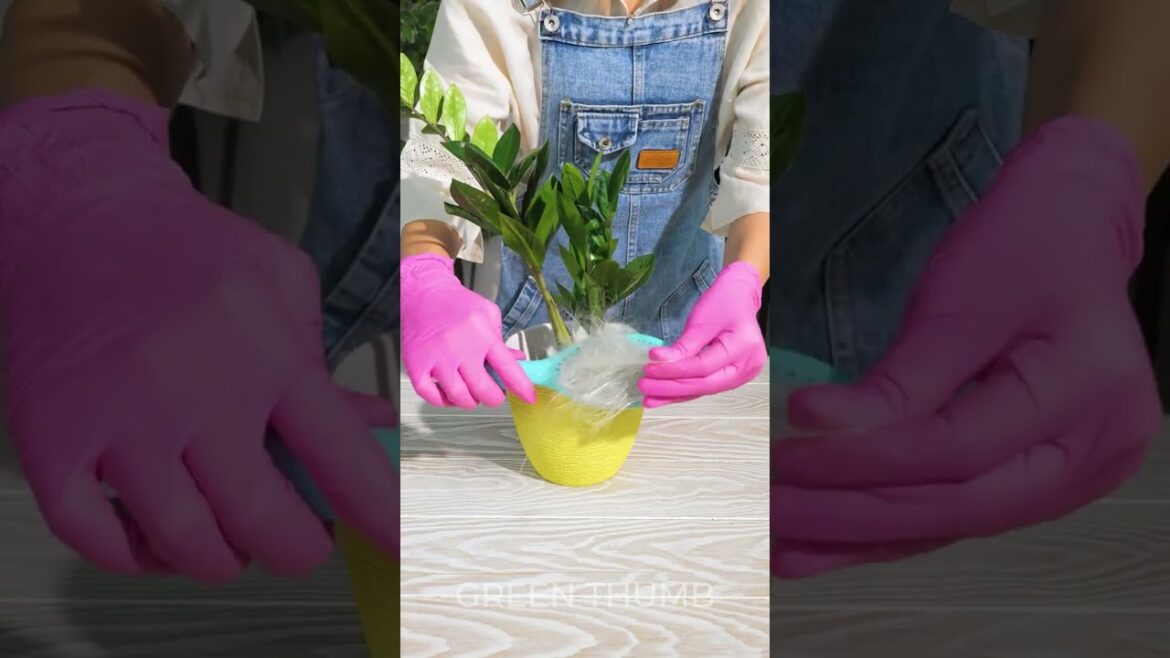 Easy Indoor Garden Hacks for Beginners!