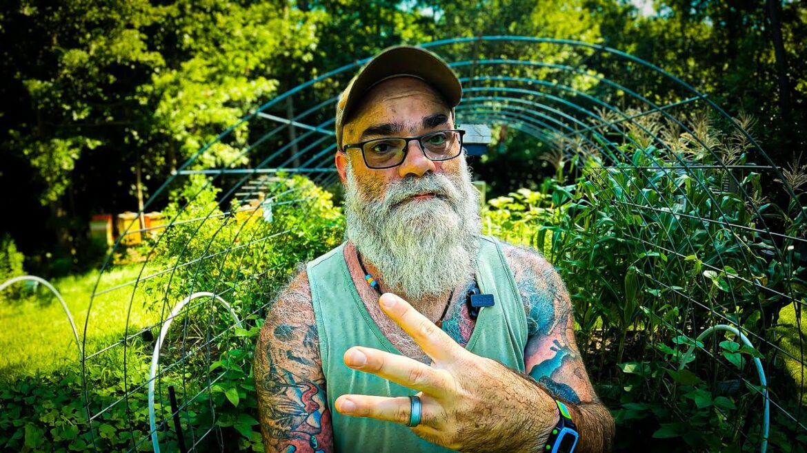 Best crops to grow in fall if there was no food Best crops to grow in fall if there was no food