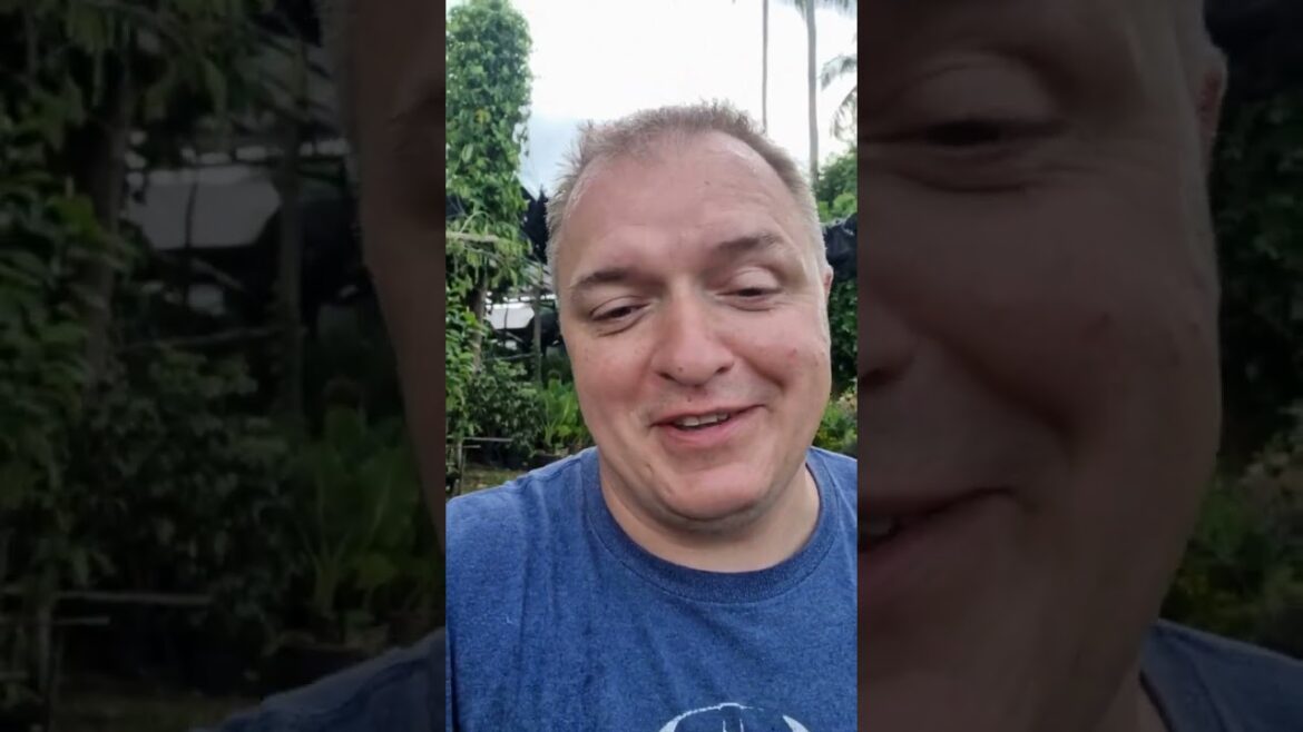 HAVENS HOUSE 1.3 Garden design HAVENS HOUSE 1.3 Garden design