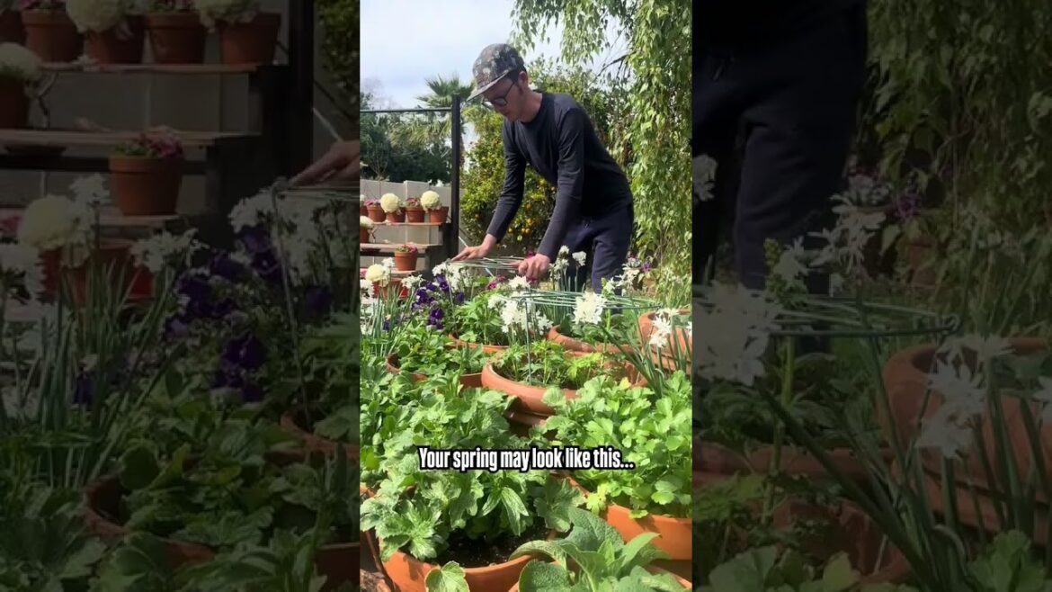 Container garden transformation!