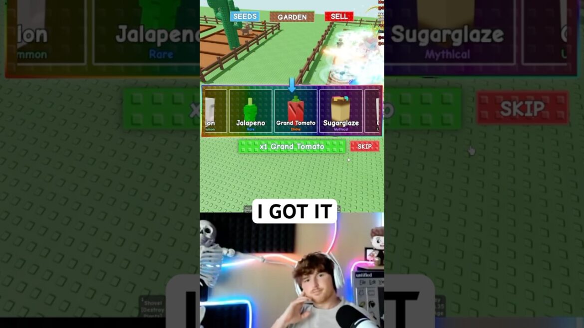 Caylus Gets The Rainbow Grand Tomato in Grow a Garden