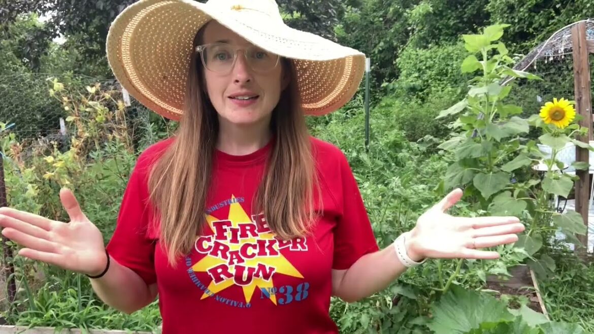 Favorite Garden Tips and Tricks