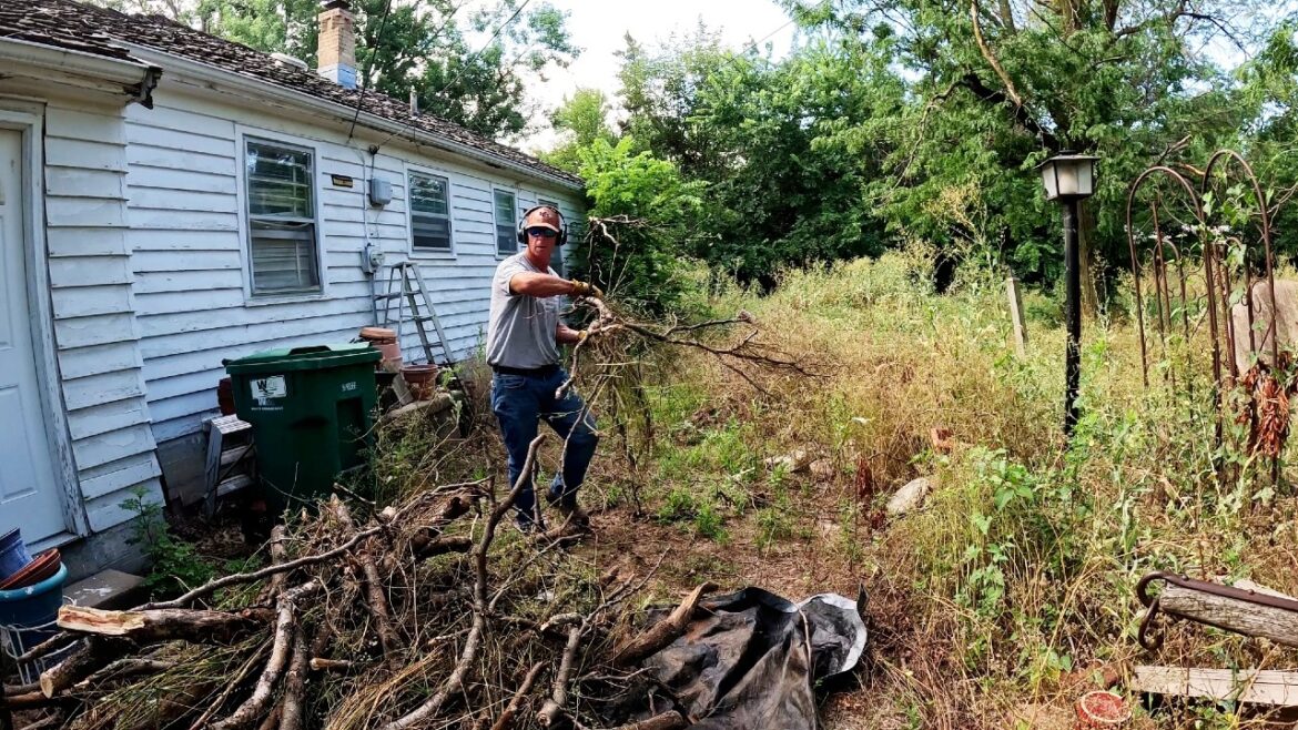 SIDEWALKS And PATIOS Were BURIED In The CRAZY OVERGROWTH Backyard SIDEWALKS And PATIOS Were BURIED In The CRAZY OVERGROWTH Backyard