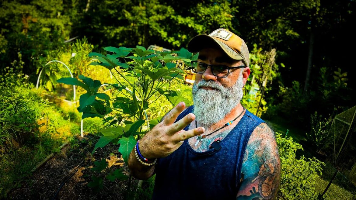 A preppers survival garden should be different A preppers survival garden should be different