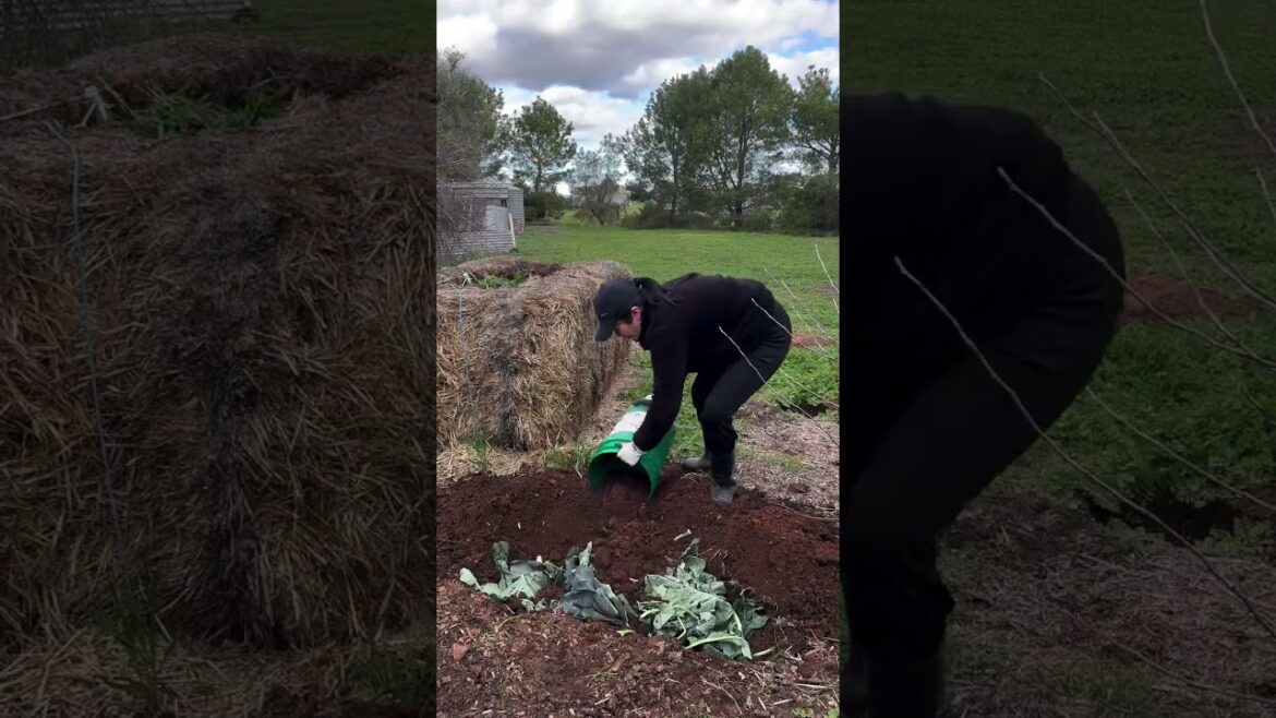 trench composting, comp easy composting, garden hacks, learn to compost, garden life, compost trench