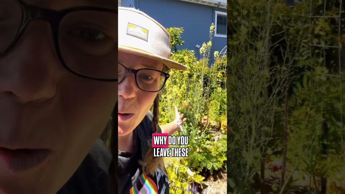 Leave these in your garden! #gardenhacks #gardeningtips