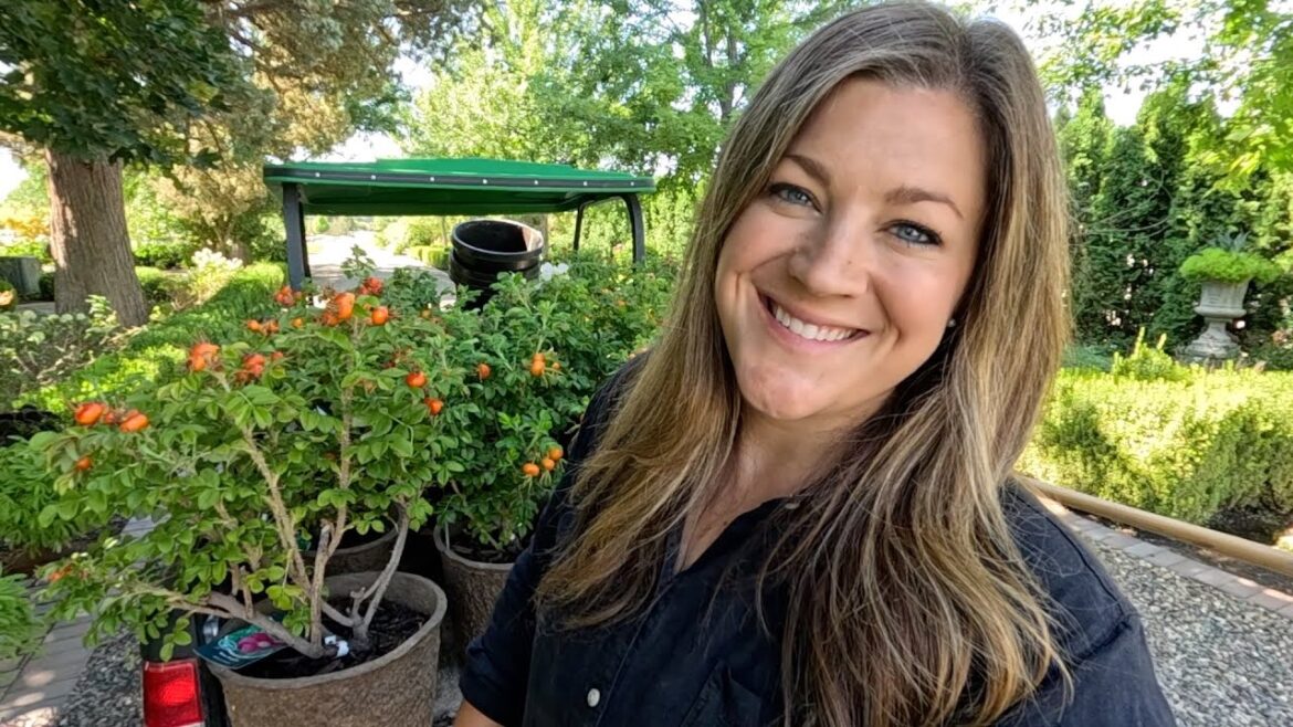 Garden Answer: Planting 10 Rugosa Roses! ๐น๐๐ // Garden Answer Planting 10 Rugosa Roses! ๐น๐๐ // Garden Answer