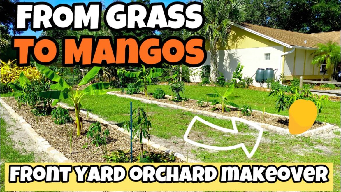 I Ripped Out My Lawn for a Mango Orchard 🥭🌴 | Florida Front Yard Food Forest Transformation! I Ripped Out My Lawn for a Mango Orchard 🥭🌴 | Florida Front Yard Food Forest Transformation!
