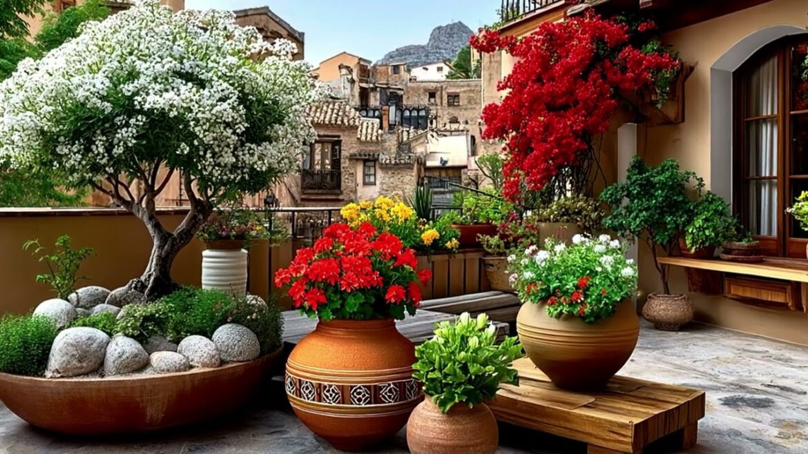 🌿 Small Space Italian Rustic Garden Ideas | Charming Mediterranean Vibes for Tiny Outdoor Spaces! 🌿 🌿 Small Space Italian Rustic Garden Ideas | Charming Mediterranean Vibes for Tiny Outdoor Spaces! 🌿