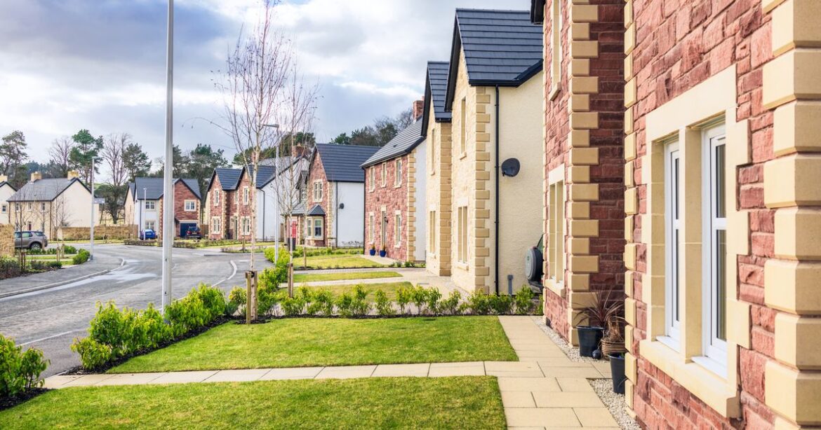 Neighbour replanted my front garden while I was out – I can’t believe what he said Ipso logo