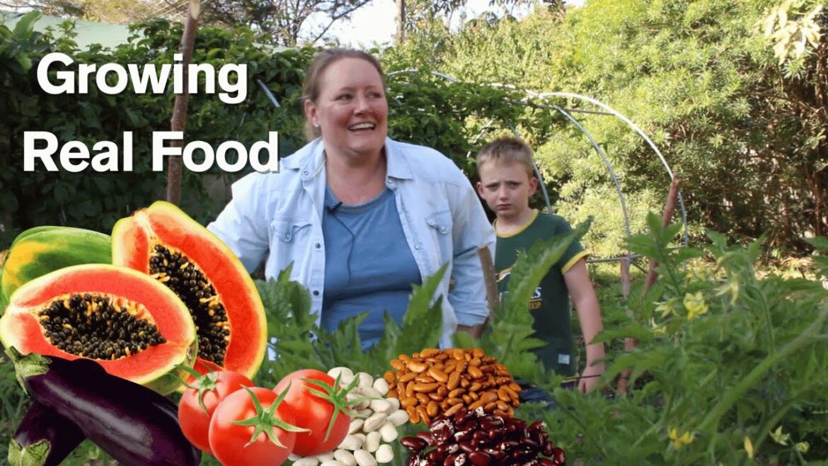 Organic Vegetable Gardening in Lusaka | How She Grows Her Food Without Chemicals