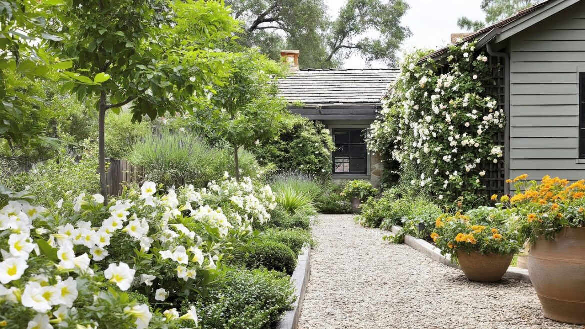 beautiful 2025 small backyard garden landscaping ideas to turn your space into a cottage dream haven beautiful 2025 small backyard garden landscaping ideas to turn your space into a cottage dream haven