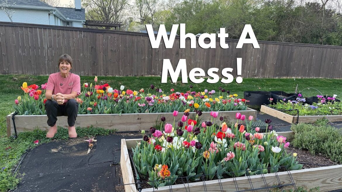 Backyard Garden Tour – April 2025 Backyard Garden Tour - April 2025