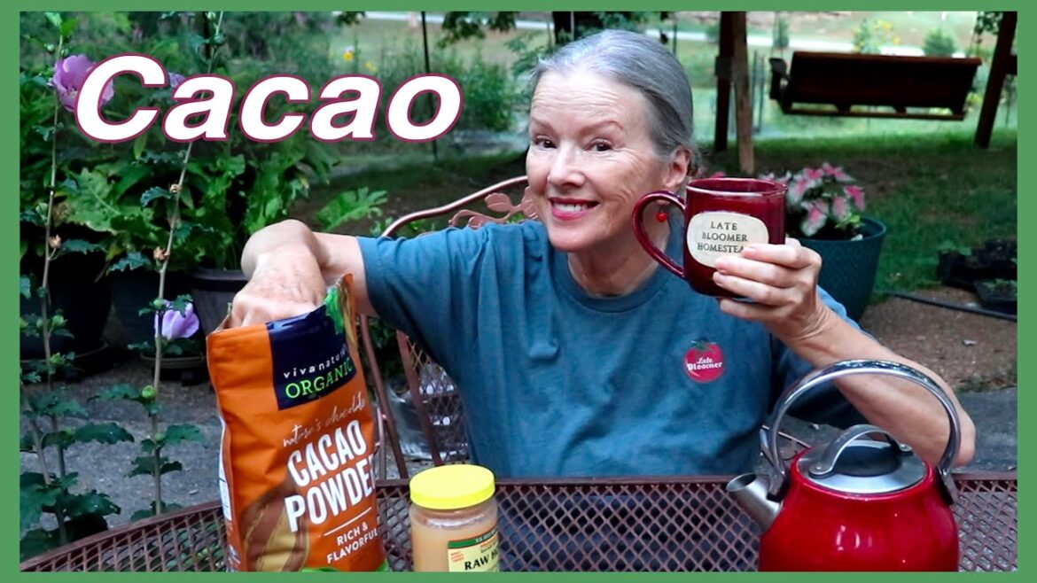 Kaye Kittrell: How I make my favorite morning drink! (things to know!) How I make my favorite morning drink! (things to know!)