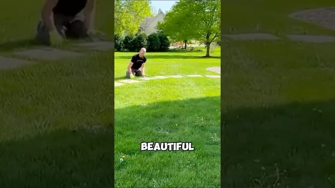 Simple DIY Garden Paver Installation