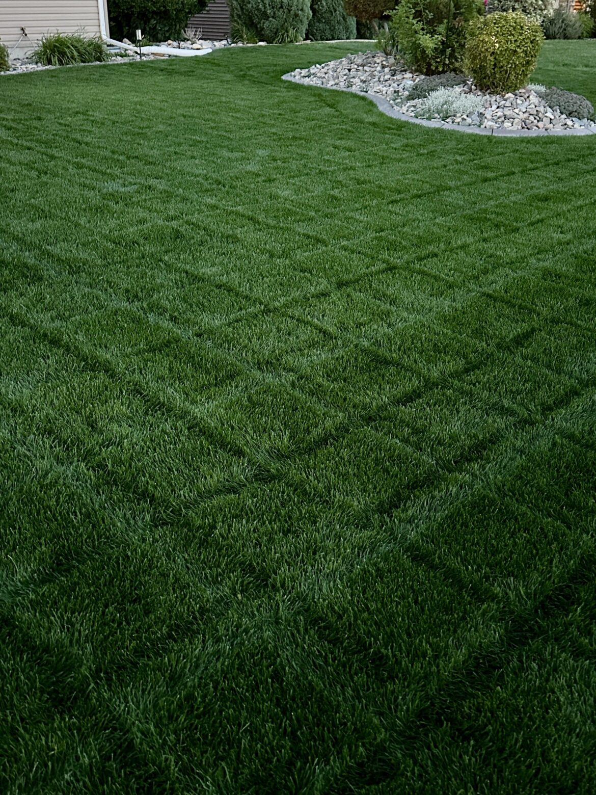 Update to my post from 10 days ago…still coming in nicely!