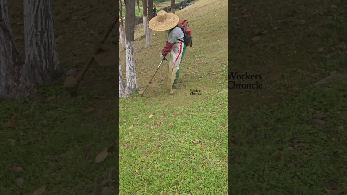 Wet Season Mowing Tips｜Gardener's Advice