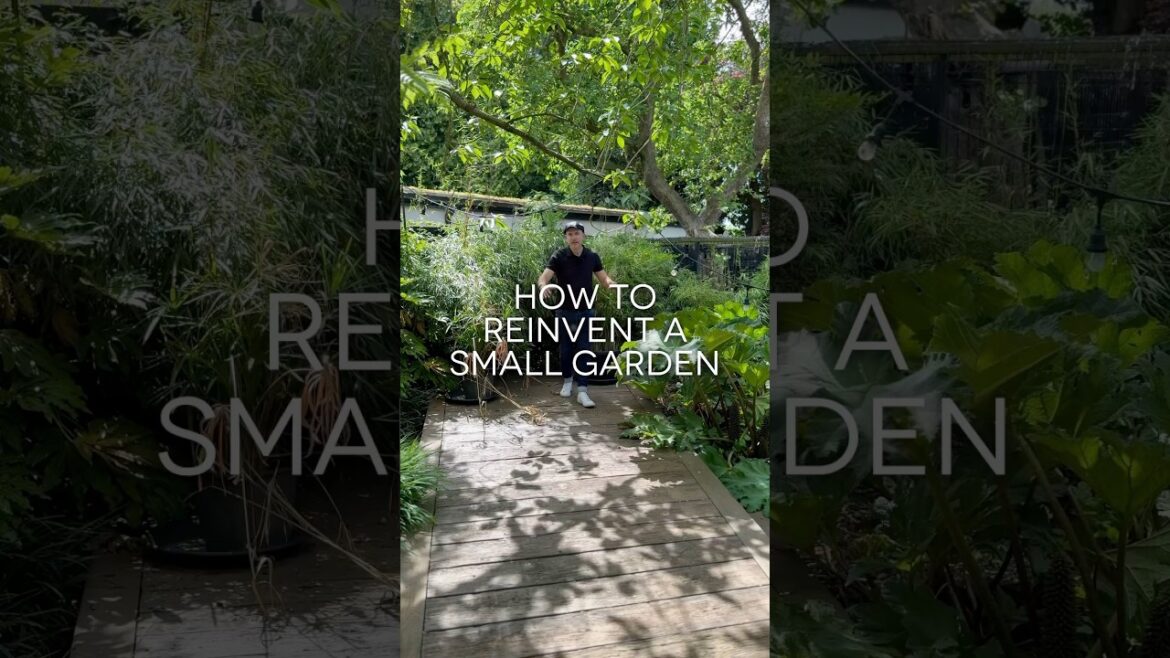 Small Garden Design Done Right