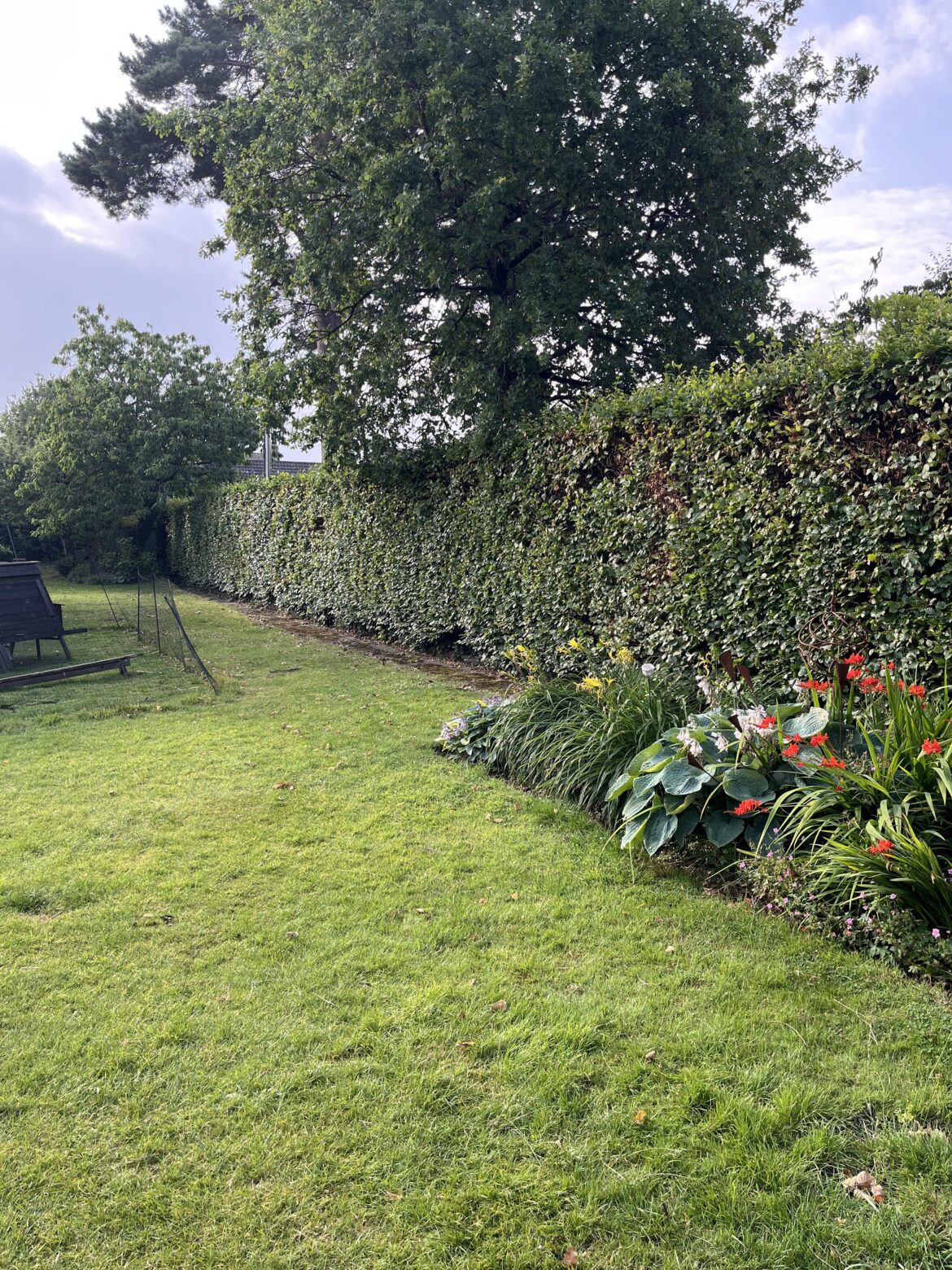 What sort of hedge cutter should I buy? What sort of hedge cutter should I buy?