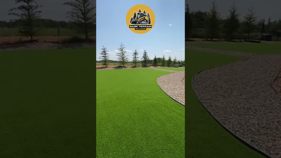 The Second Birth of a Backyard The Second Birth of a Backyard