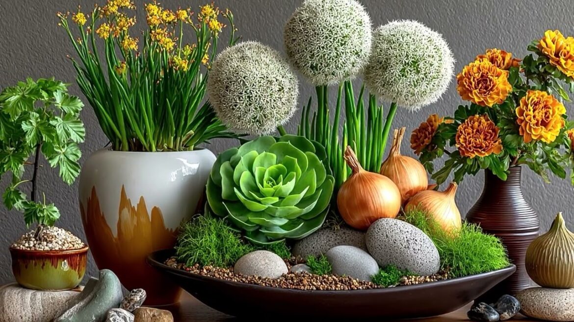 Grow Onions & Garlic at Home in Styrofoam Box | Easy & Brilliant DIY Gardening Idea! ๐ง๐ง
๐ฟ Grow Onions & Garlic at Home in Styrofoam Box | Easy & Brilliant DIY Gardening Idea! ๐ง๐ง
๐ฟ