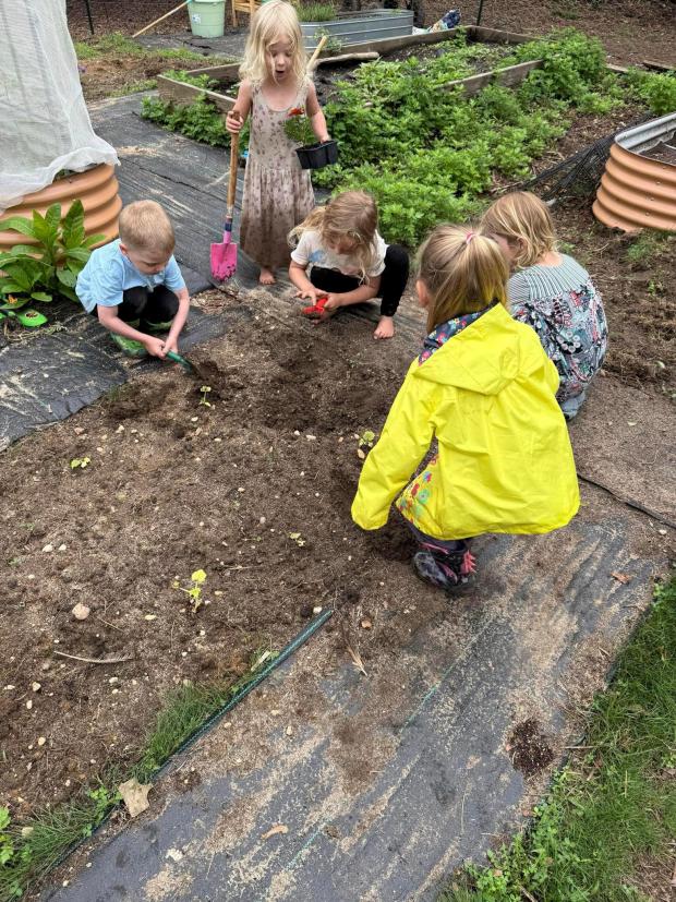 This 2025 image provided by Jessica Martin shows young children tending to a garden bed in Islip Terrace, New York. (Jessica Martin via AP)