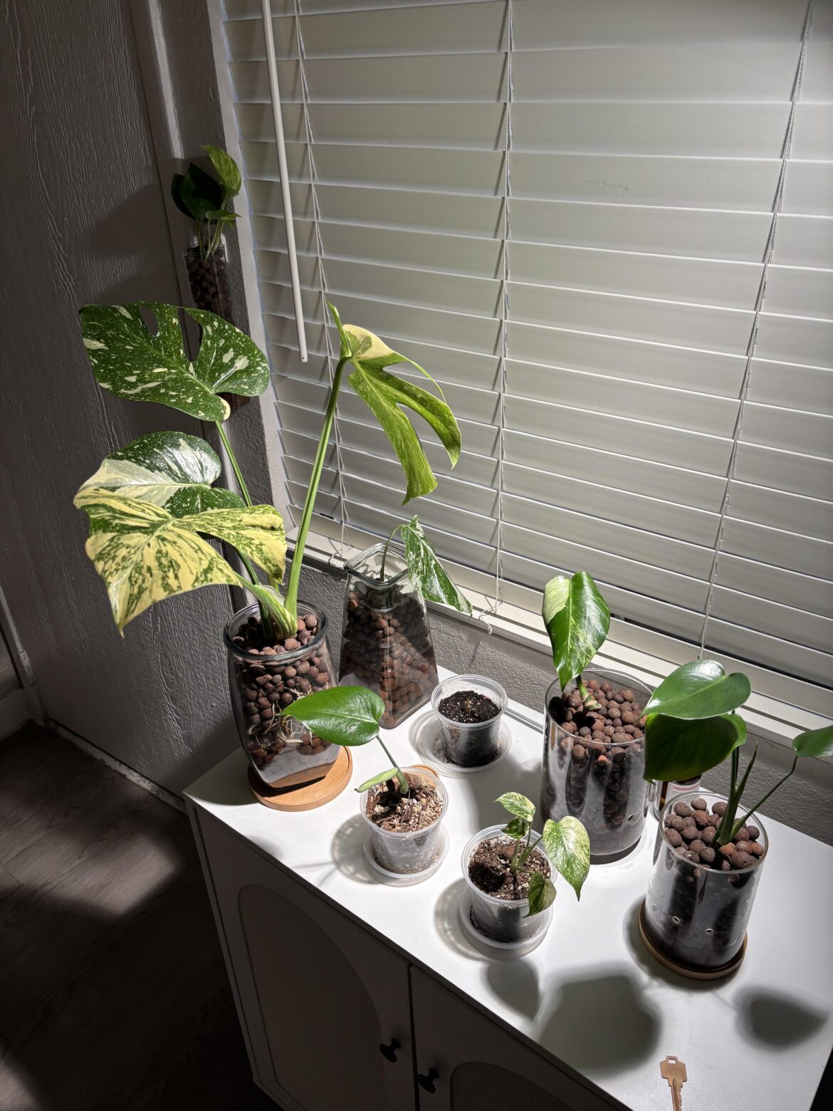 My little collection.