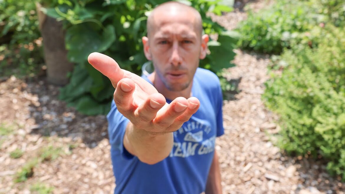 James Prigioni: I need your help. I need your help.