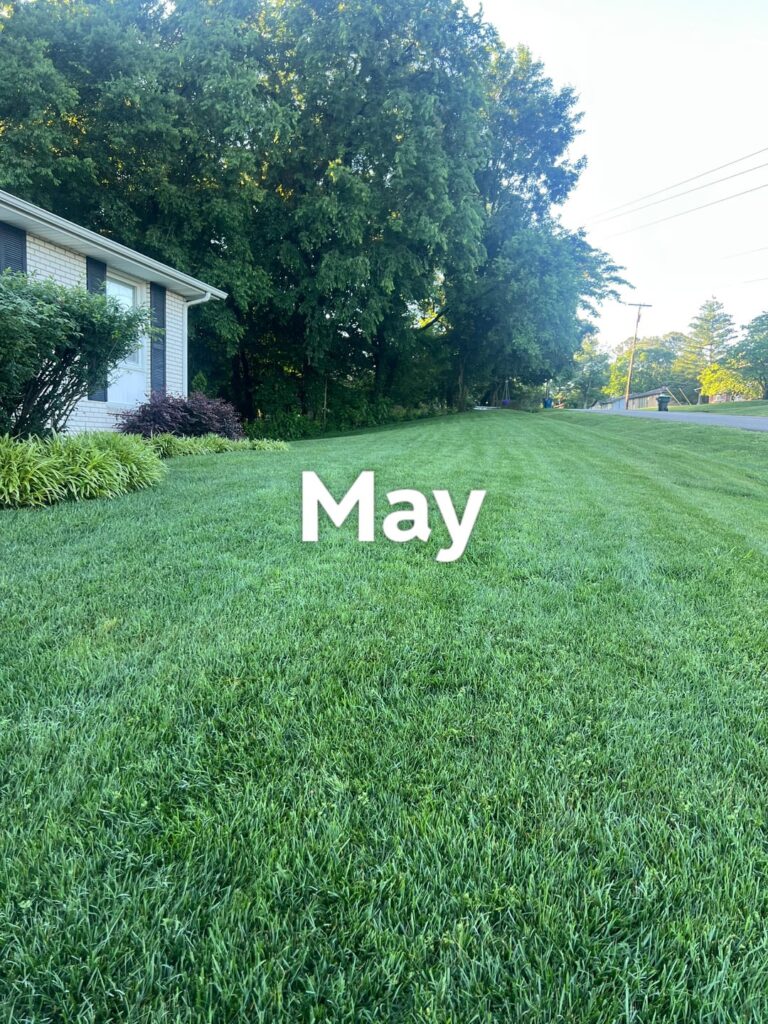 What Went Wrong? What Went Wrong?