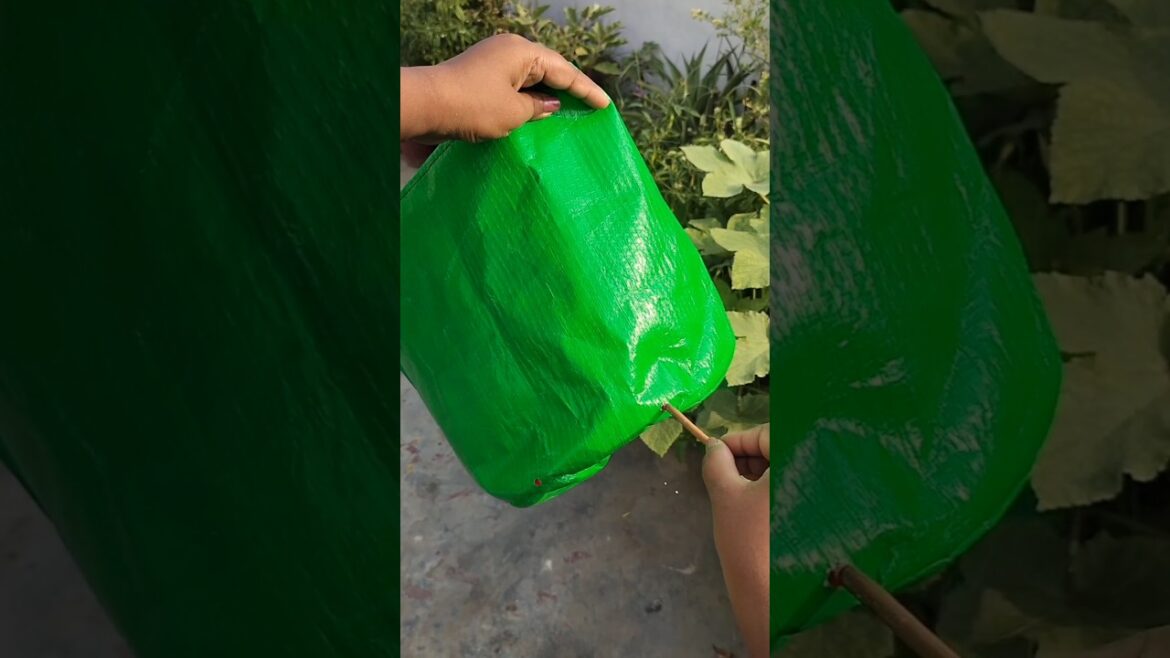 Unboxing Growbag for Kitchen Gardening #growbag #gardening Unboxing Growbag for Kitchen Gardening #growbag #gardening