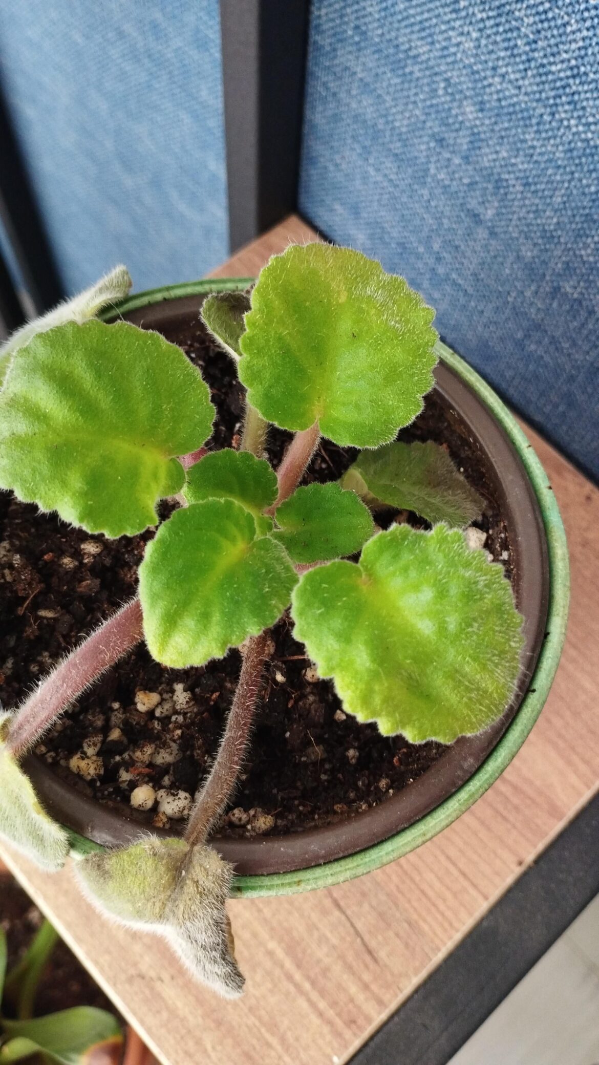 What I am doing wrong?