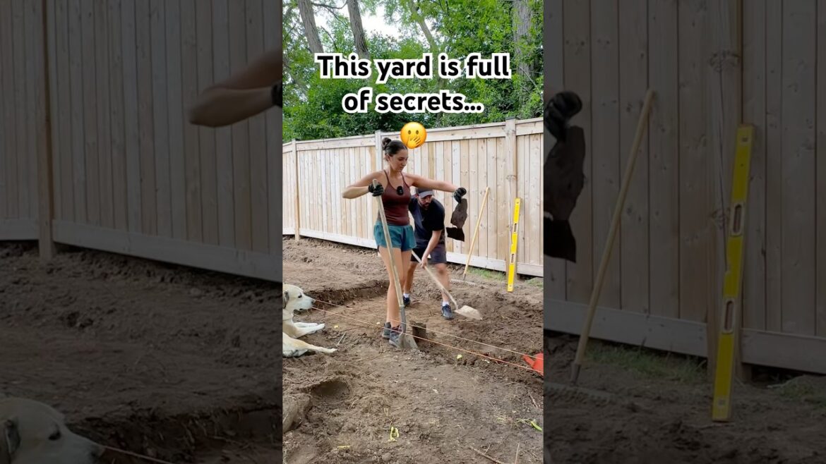 Got any ideas? #diyprojects #backyard