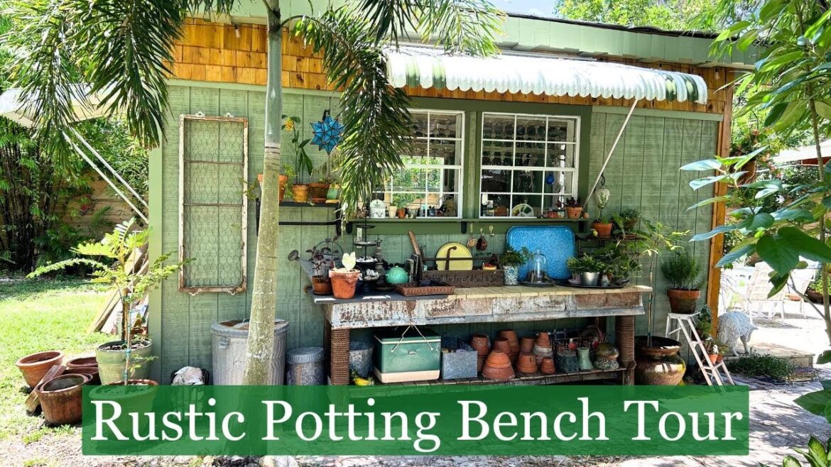 My Rustic Potting Bench Tour | Using Antique & Vintage Finds | Container Gardening My Rustic Potting Bench Tour | Using Antique & Vintage Finds | Container Gardening