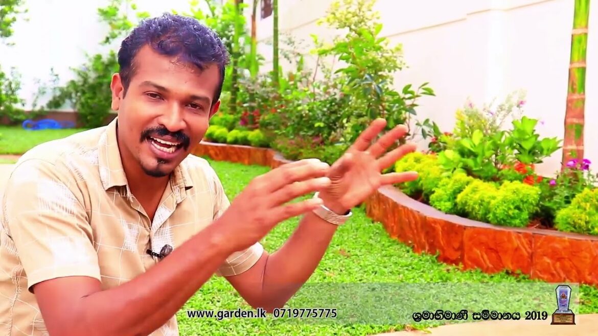ගෙමිදුල මලින් සරසමුද Amazing Garden design ideas colombo sri lanka - by gemiya www.garden.lk