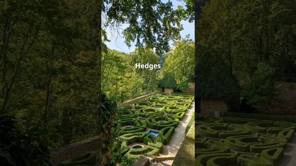 “Tips for Best Hedges to Edge Your Garden” #garden #hedges #smallgardenideas “Tips for Best Hedges to Edge Your Garden” #garden #hedges #smallgardenideas