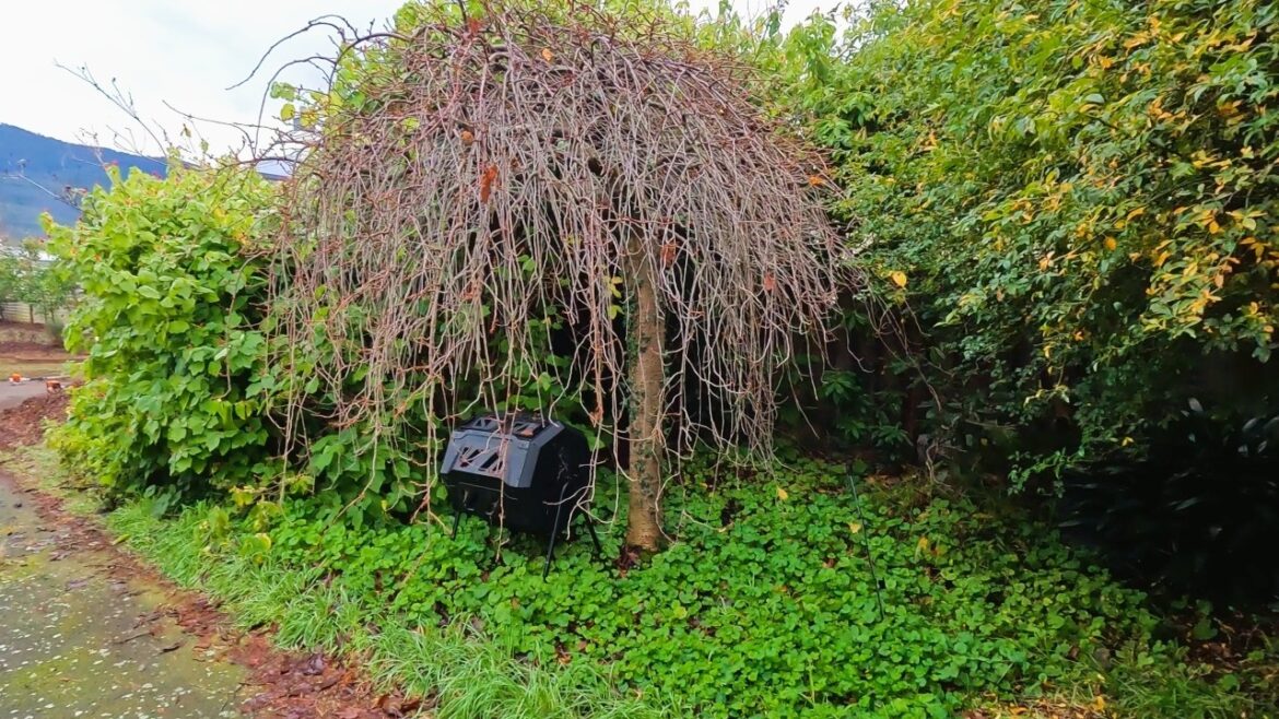 Front Yard Disaster Receives the Most Satisfying Garden RENOVATION! Front Yard Disaster Receives the Most Satisfying Garden RENOVATION!