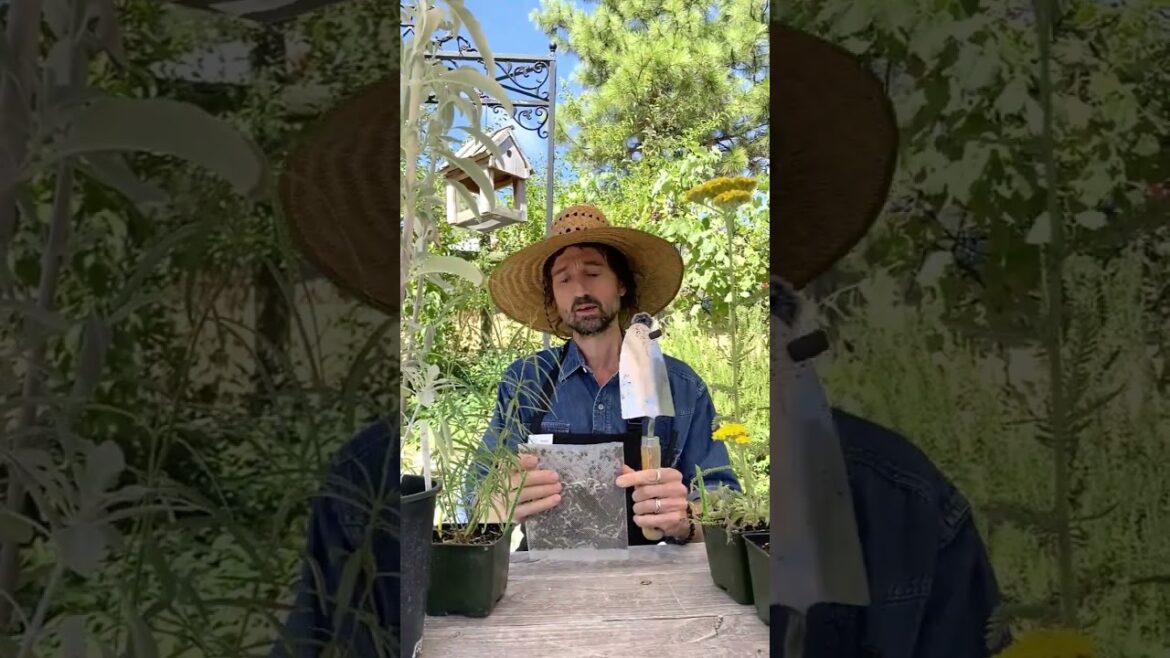 Gardening with Ladybugs and other Beneficial Insects Gardening with Ladybugs and other Beneficial Insects