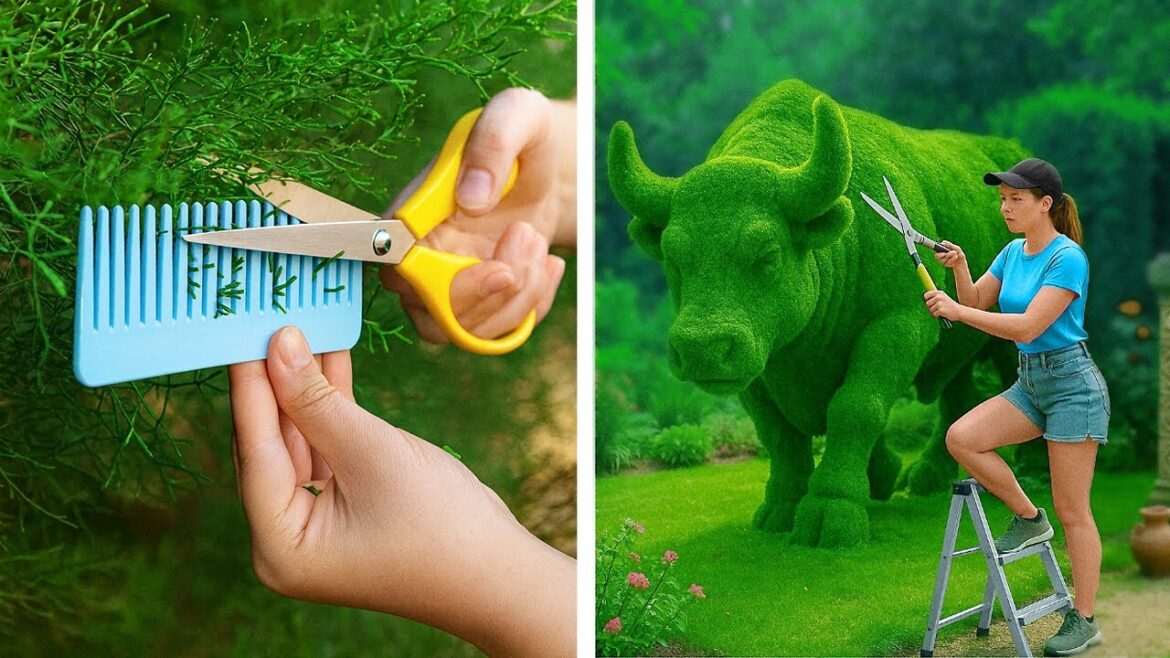 Budget-Friendly Backyard Makeover: DIY Garden Upgrades You Can Make In 5 Minutes Budget-Friendly Backyard Makeover: DIY Garden Upgrades You Can Make In 5 Minutes