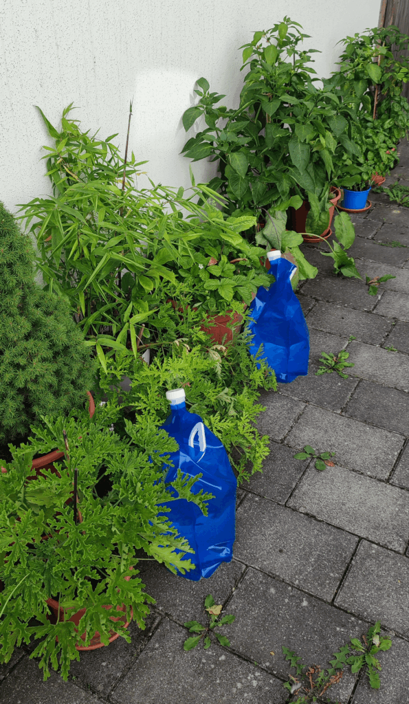 I am so proud of myself in this moment ❤️! I am so proud of myself in this moment ❤️!