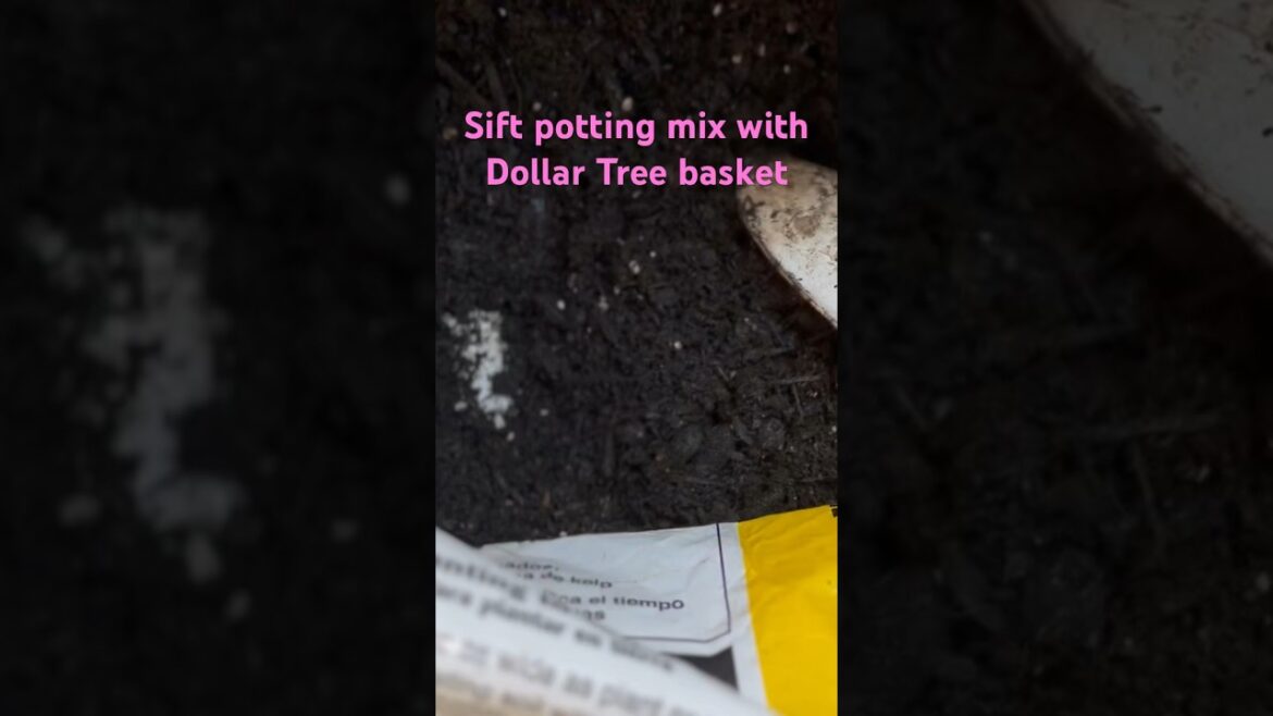 Sifting soil with a 💵🌳 item #gardentips #gardennewbie #gardening #containergardening #growbag