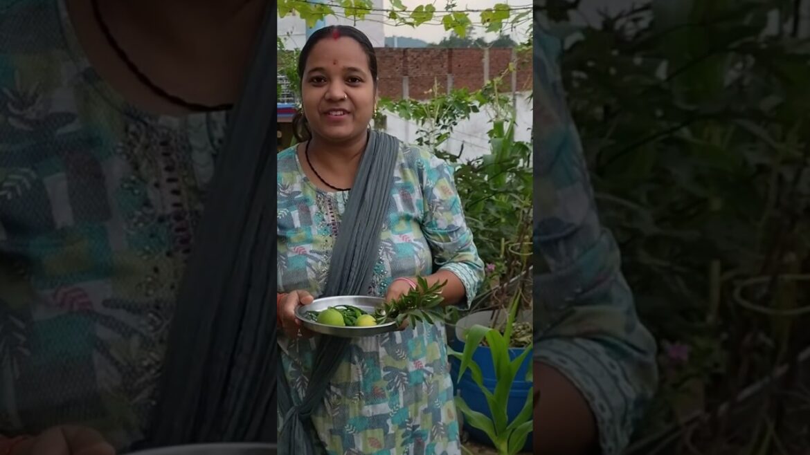 मुझे जो चाहिए था वह मिल गया 😲 #gardening #viralvideo #vegetablegarden #shortvideo #shorts