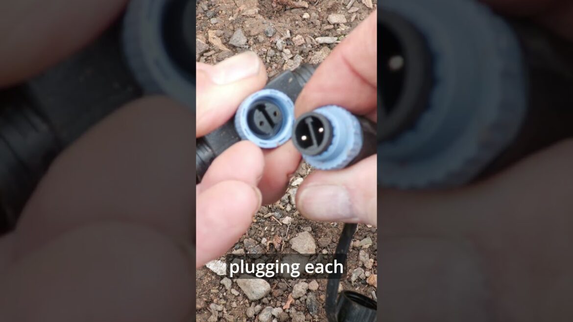 DIY Garden Lighting Install #shorts