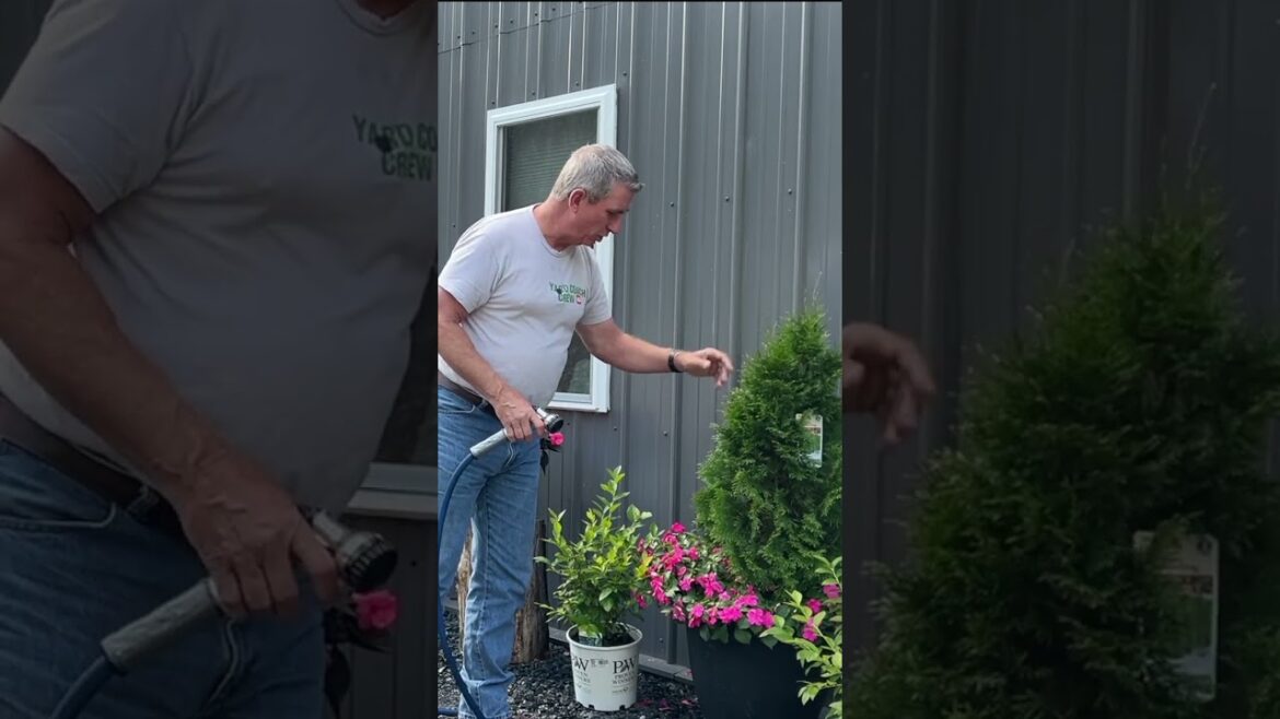 Container Gardening Mistake to Avoid! | Pro Landscaping Tip