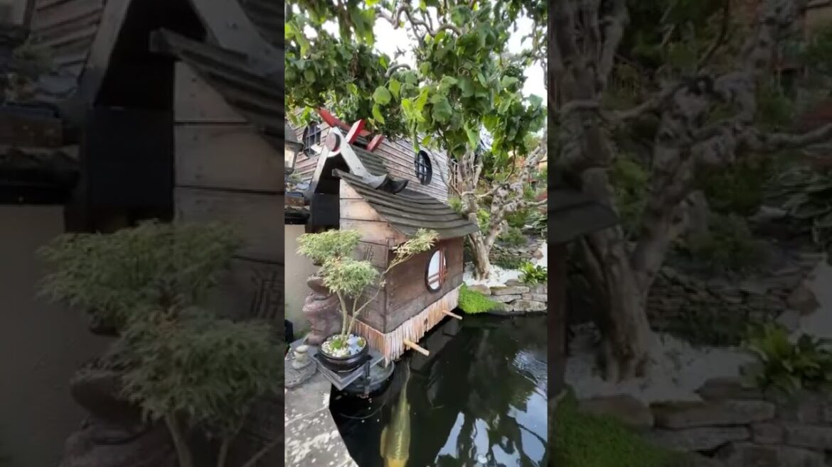 What plants to have in a Japanese garden