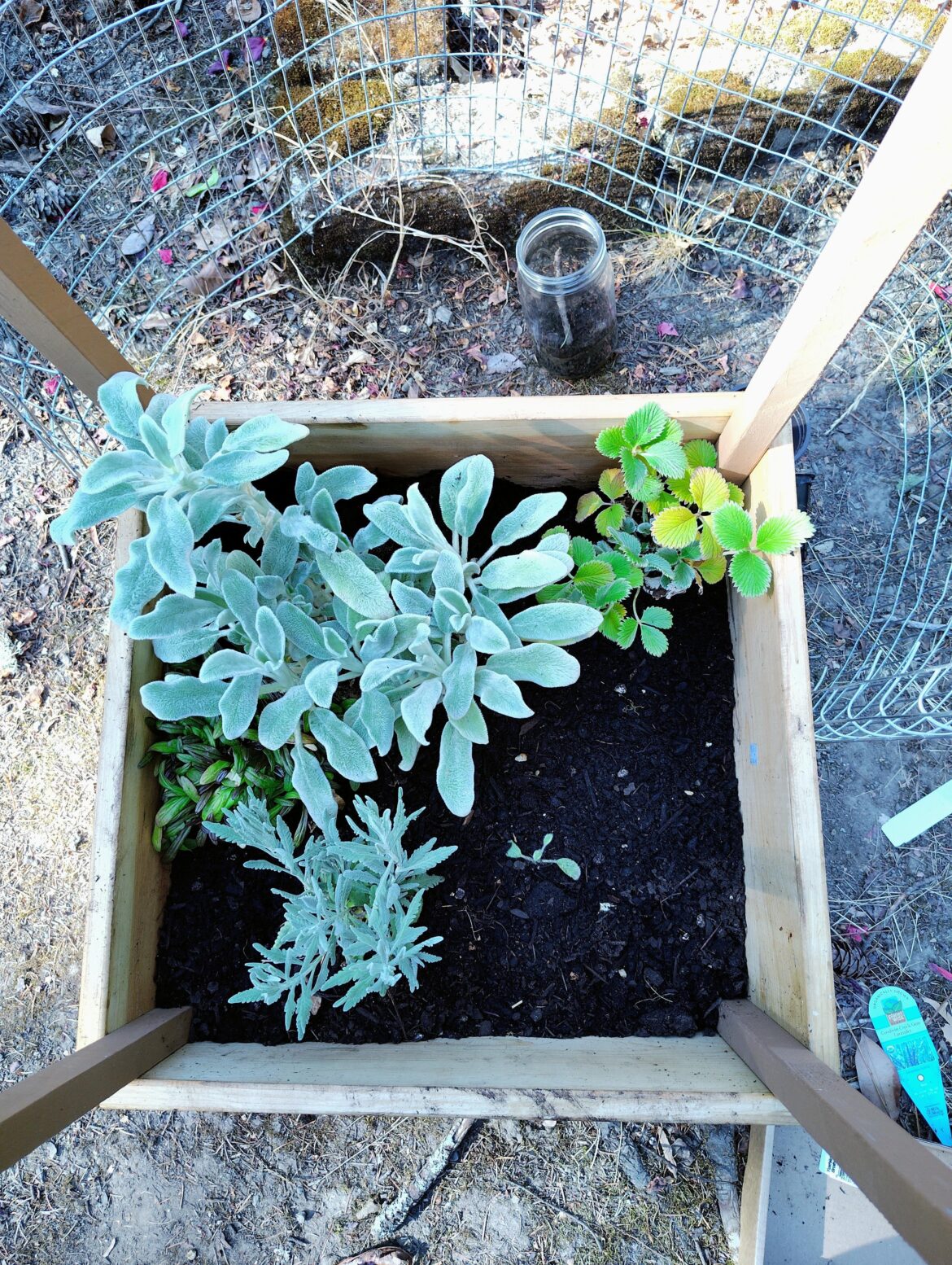 Made this with my dad, any other plants to add? Made this with my dad, any other plants to add?